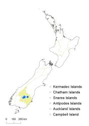 Veronica triphyllos distribution map based on databased records at AK, CHR & WELT.
 Image: K.Boardman © Landcare Research 2022 CC-BY 4.0